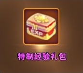 特制经验球礼包
